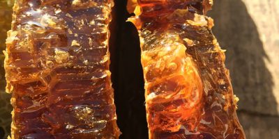 miodarka premium, miodarka premium line, miodarka z blachami, miodarka promienista, sklep z miodarkami, miodarka sklep, krystalizacja miodu, miód pitny